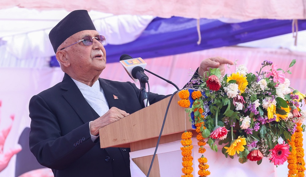 kp oli