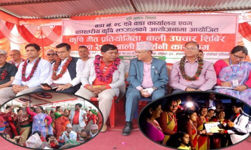 ward 28 krisi git pratiogita