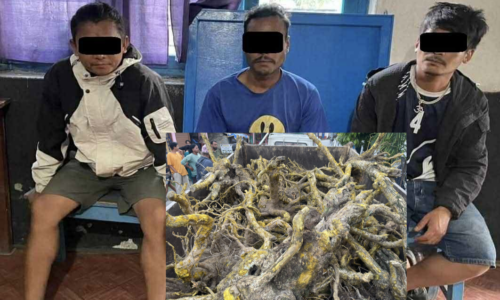 Chutre jadibuti niyantran