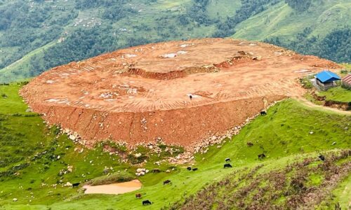 cricket rangashala arjp