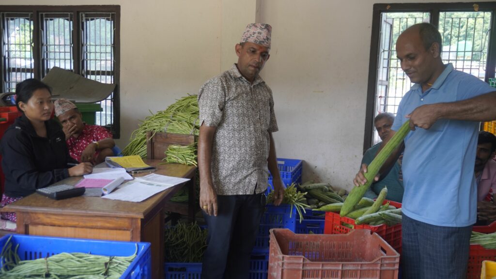 walingka tarkari kisanlai aarthik anudan