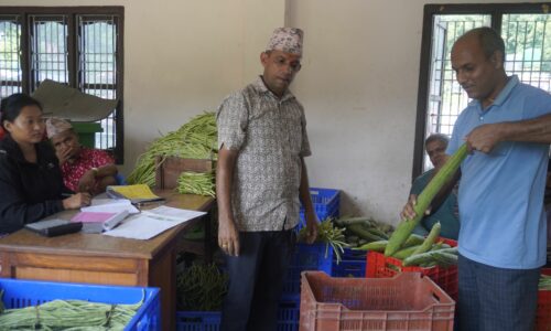 walingka tarkari kisanlai aarthik anudan