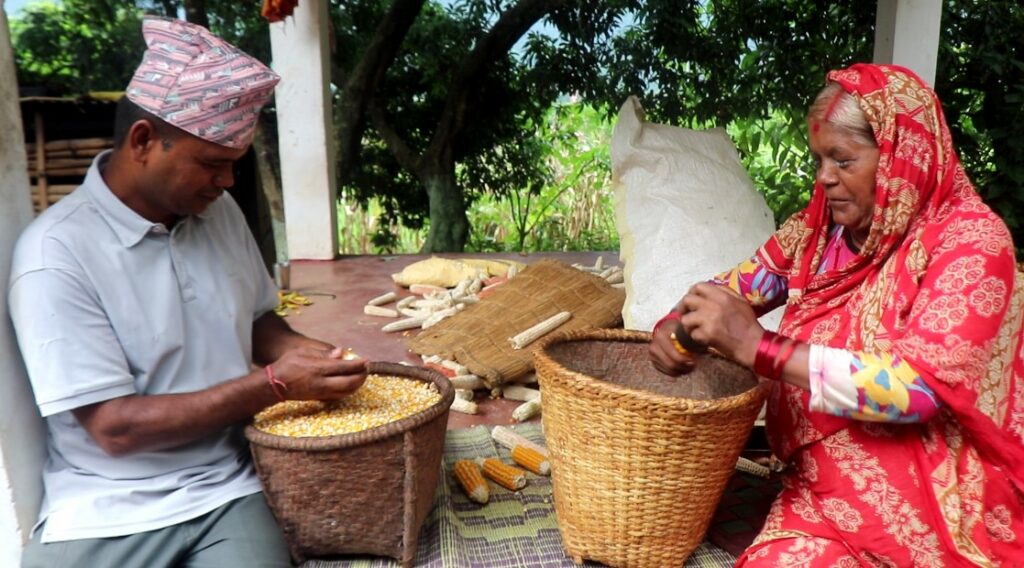 Makai chhodaudai galyangka krishak_dumre family