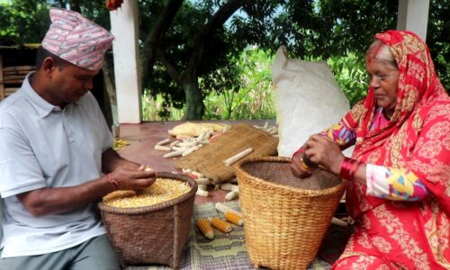 Makai chhodaudai galyangka krishak_dumre family