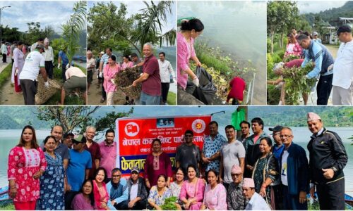 MixCollage-02-Aug-2025-07-32-PM-121