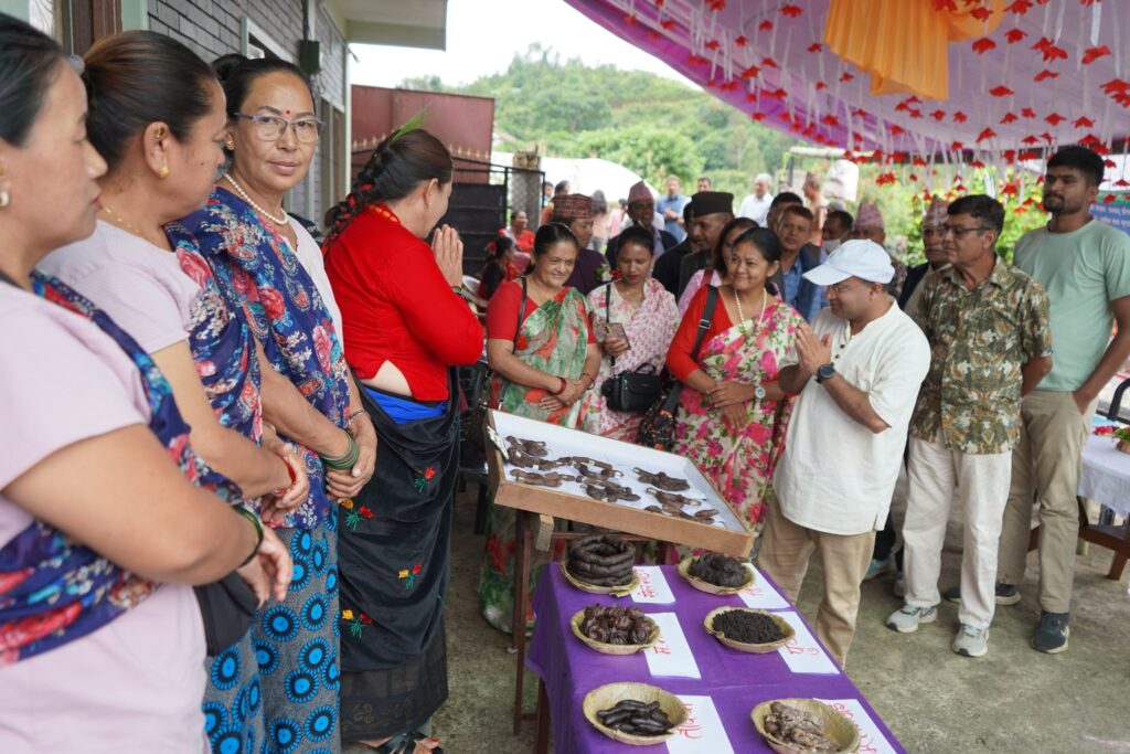 kodo diwas 2082-phedikhola