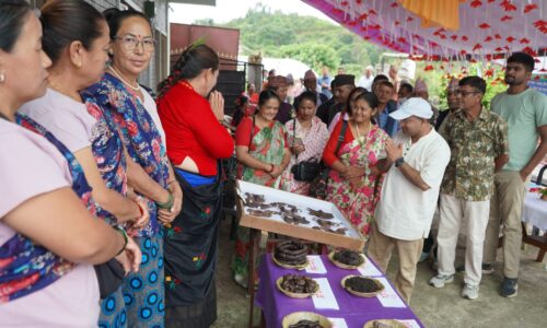 kodo diwas 2082-phedikhola