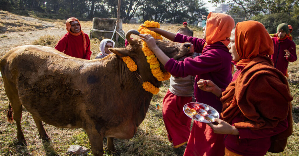 hp-gaai-pujajpgdpxvdxomz