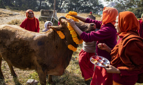 hp-gaai-pujajpgdpxvdxomz