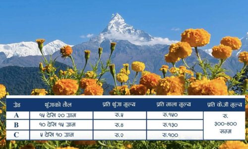 pokhara sayapatri daam