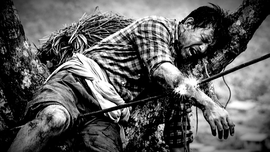 ai-photo-burnt-at-tree