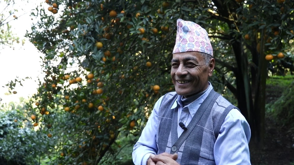 Fani-Narayan-Aryal-of-Arjun-Chowpari-becomes-self-reliant-from-oranges