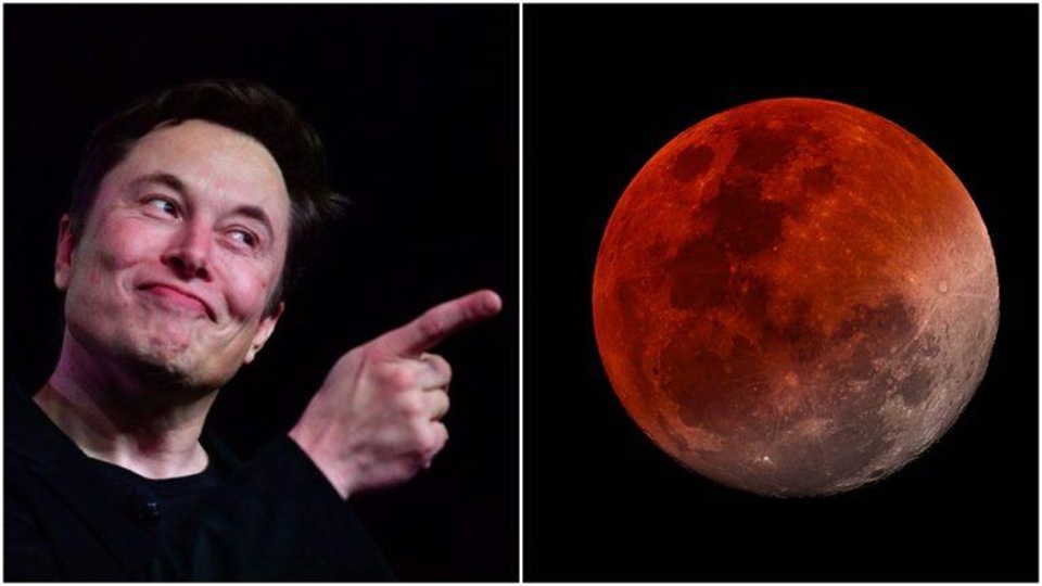 elon-musk-moon