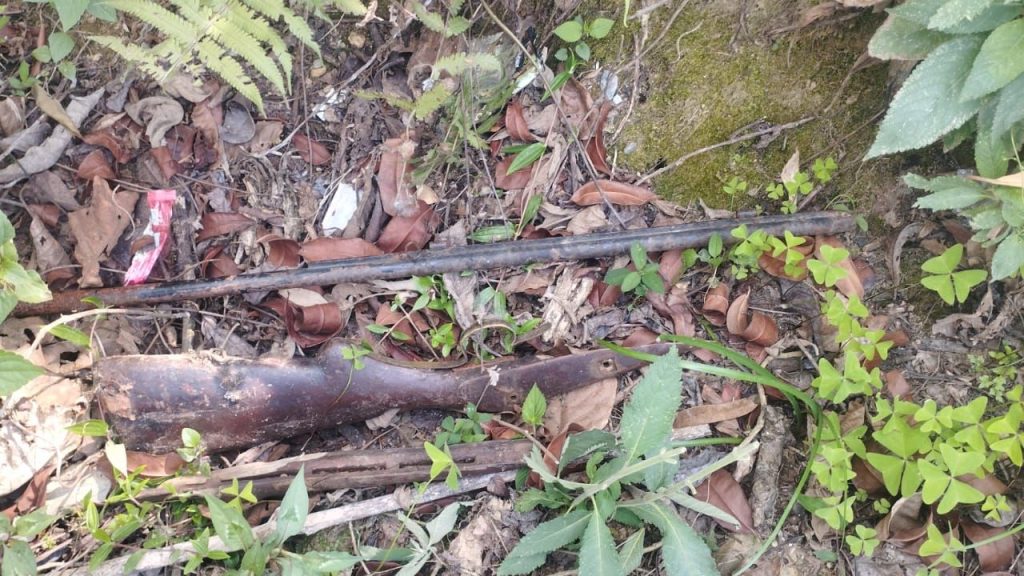 A loaded gun found abandoned