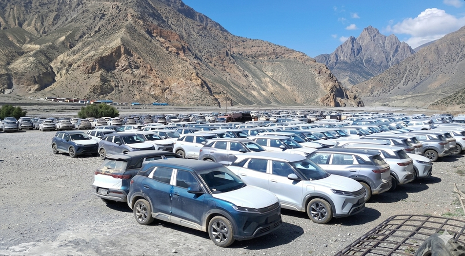 Byd-Mustang