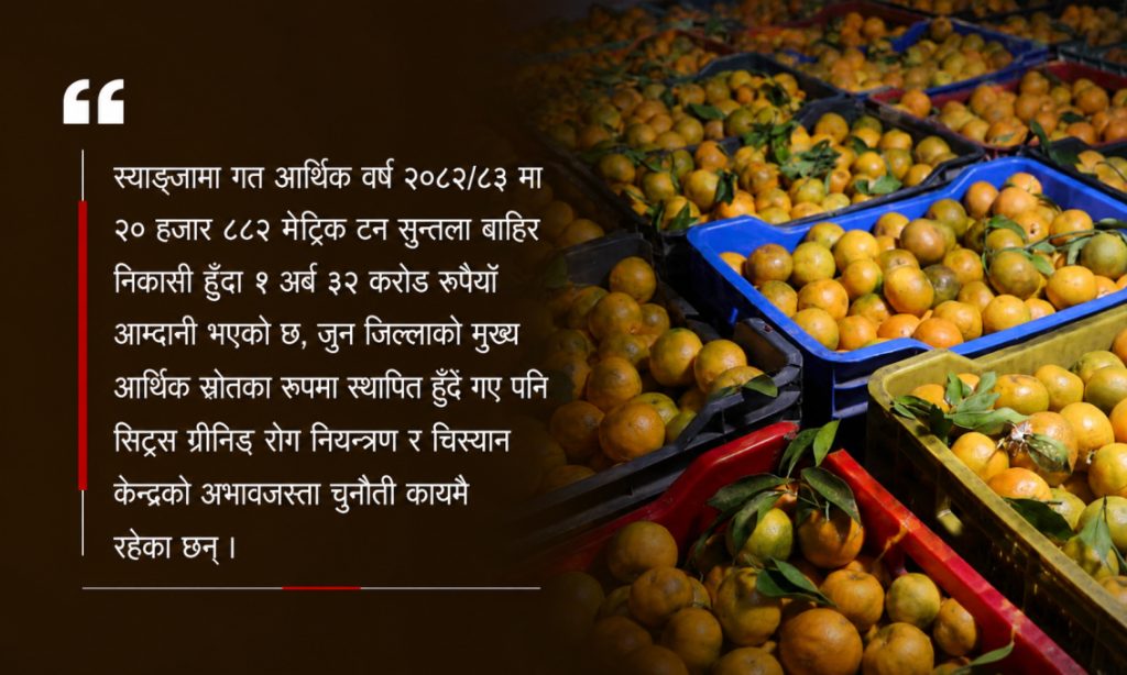 Oranges revenue over Rs 1.25 billion in a year