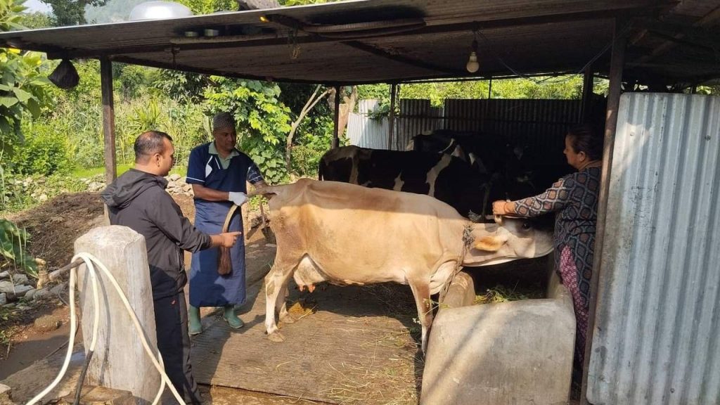 Artificial insemination is being performed-1 (1)