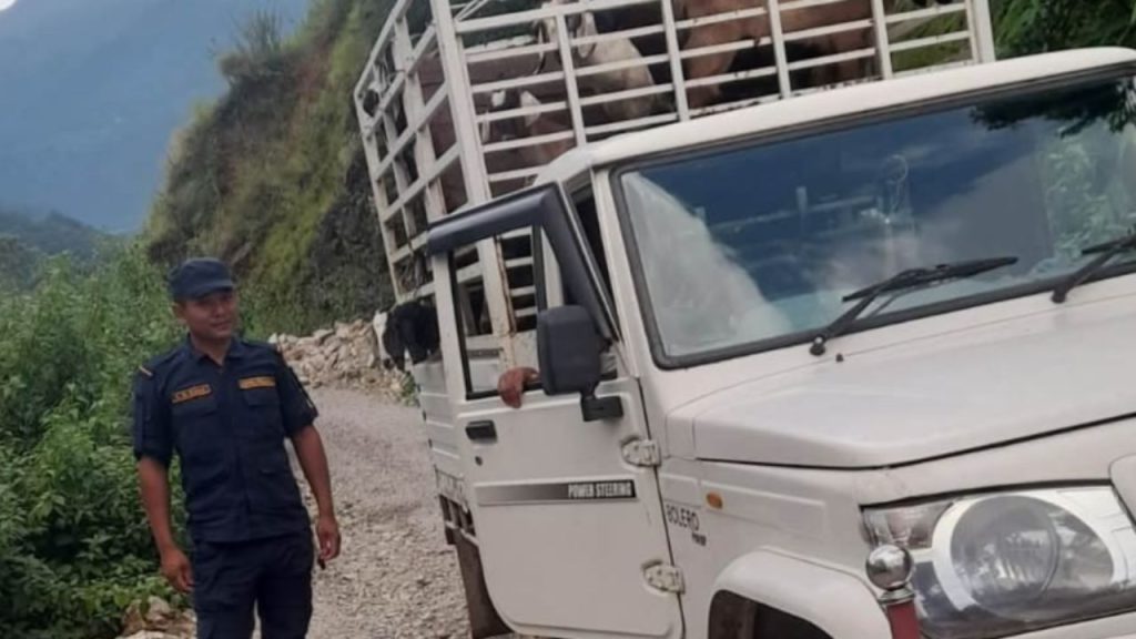 Bolero truck transporting goats fined