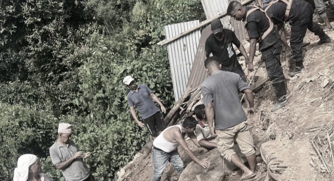 Livestock die as cowshed collapses