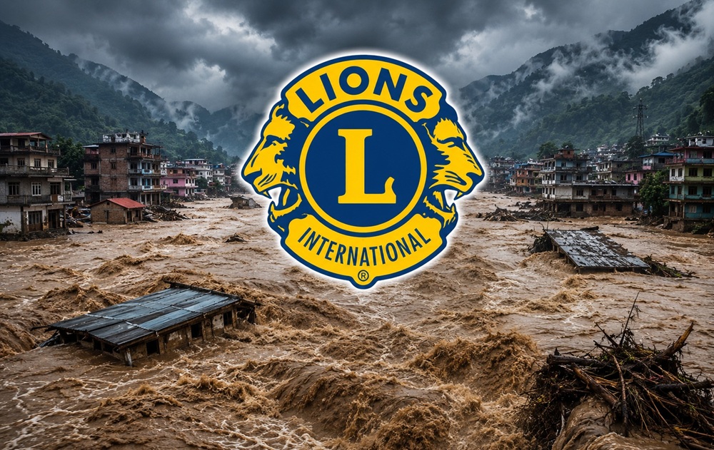 lions help